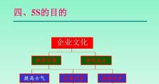 5S质量标准的效果及其关键要素（优化工作环境，提升质量控制效率）