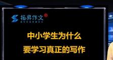 真正的学习（如何通过真实的学习获得真正的成长与进步）