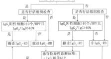 LGG4系统体验及评价（探索LGG4系统的功能和性能，解析其优点和不足）