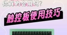 笔记本触控板失灵了怎么办？（解决笔记本触控板失灵问题的方法及技巧）