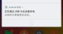 手机USB连接电脑显示错误的解决方法（排除手机与电脑连接问题，解决显示错误）