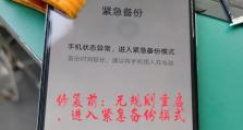 手机重启循环无法开机的解决方法（如何应对手机无法正常启动的问题）