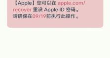 电脑密码重设错误（避免重设电脑密码时的常见错误和解决方案）