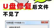 解决U盘插上电脑显示错误的方法（错误信息、原因和解决办法一览）