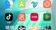 解决手机闪退问题的方法（探索手机闪退的原因，提供有效解决方案）