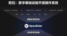 华为系统盘安装系统教程（详细步骤教你如何使用华为系统盘安装操作系统）